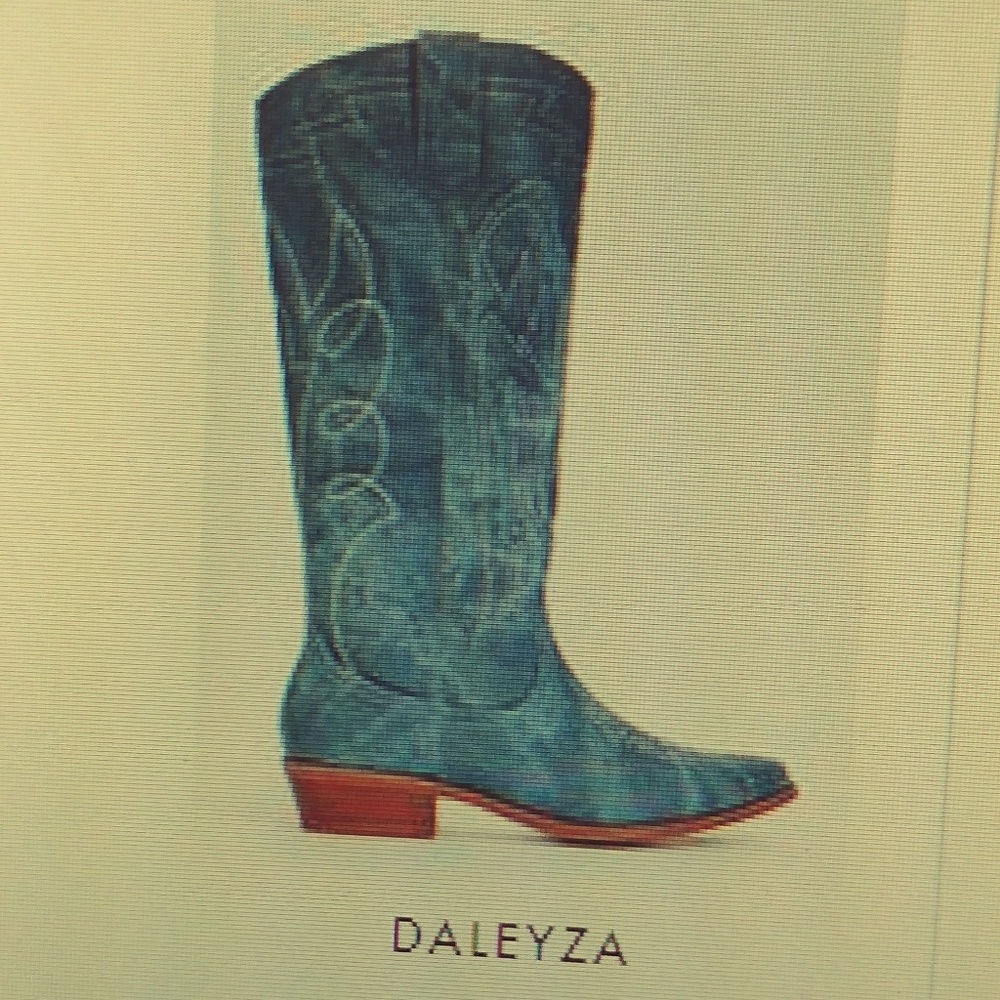 Daleyza Western boots new never worn
